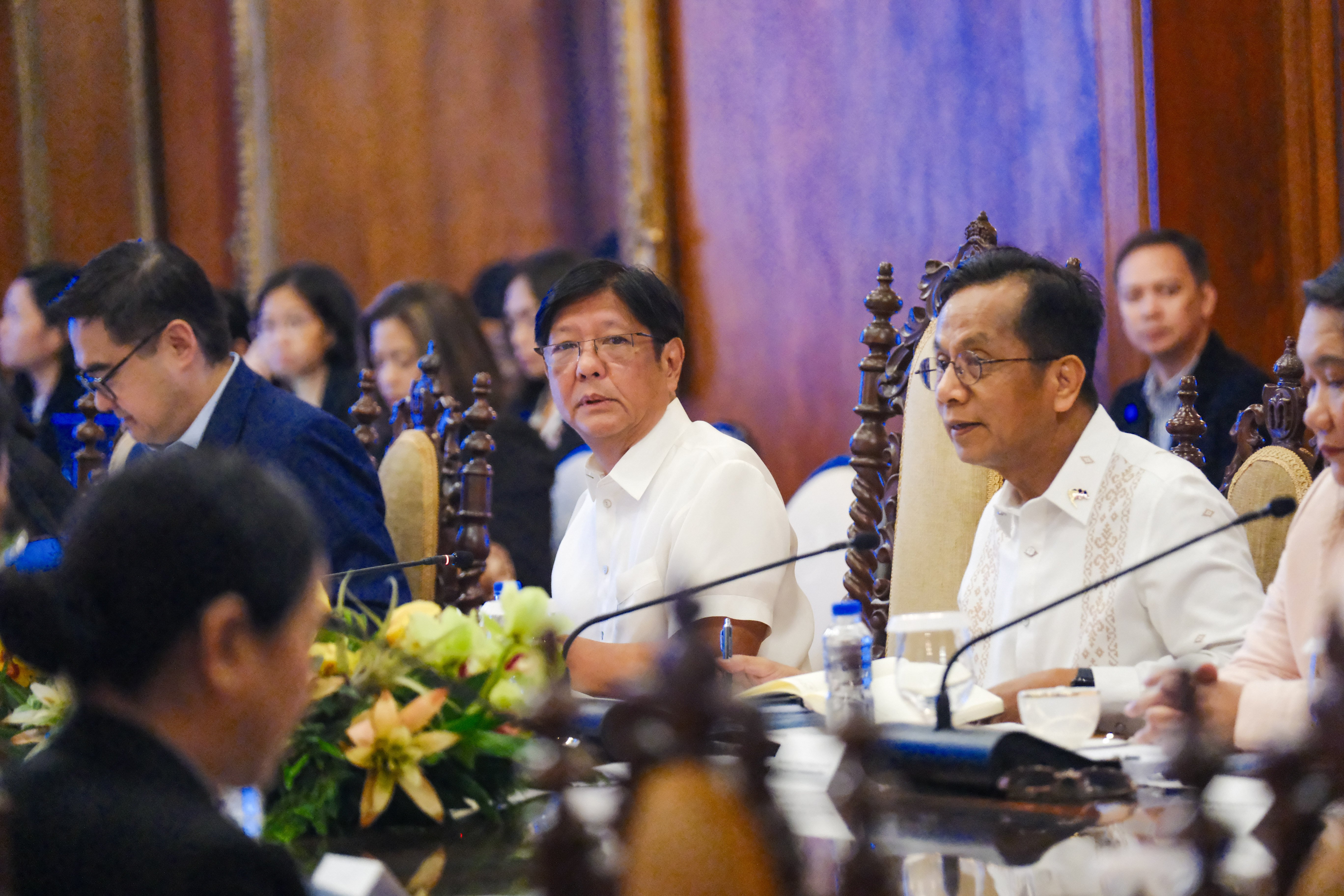 NEDA board OKs irrigation, bridge projects